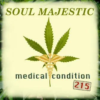 Medical Condition 215 - Single by Soul Majestic