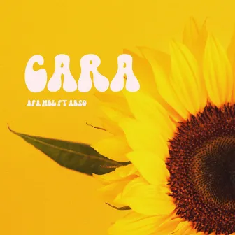 Cara by Apa MBL