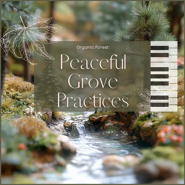 Peaceful Grove Practices