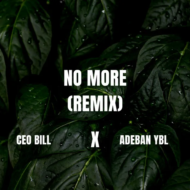 No More (Remix)