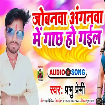 Jobanwa Anganwa Me Ghach Ho Gayil (Bhojpuri) by 