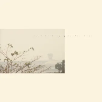 Golden Haze by Wild Nothing