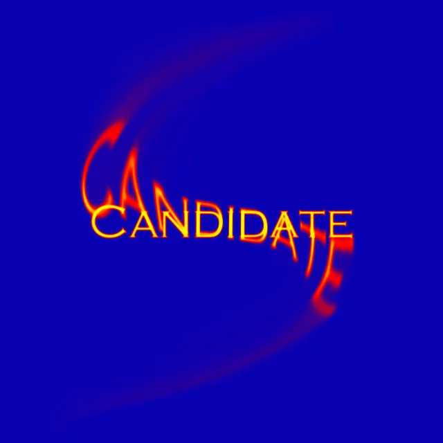 Candidate