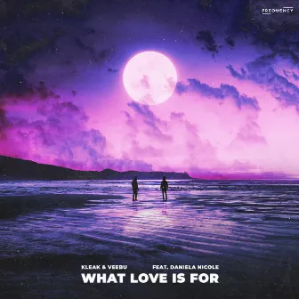 What Love is For (feat. Daniela Nicole) by Kleak & Veebu