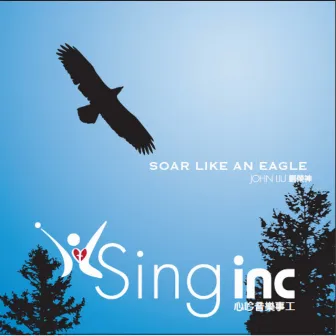 Soar Like an Eagle by John Liu