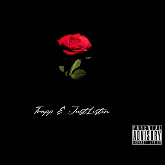 Roses by trapp