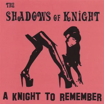 A Knight To Remember by The Shadows Of Knight