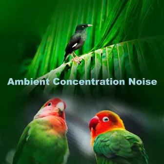 Ambient Concentration Noise by Wildlife Recordings