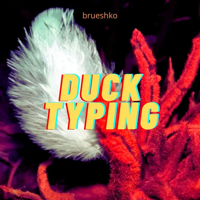 Duck Typing