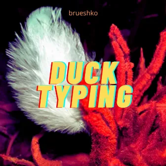 Duck Typing by Brueshko