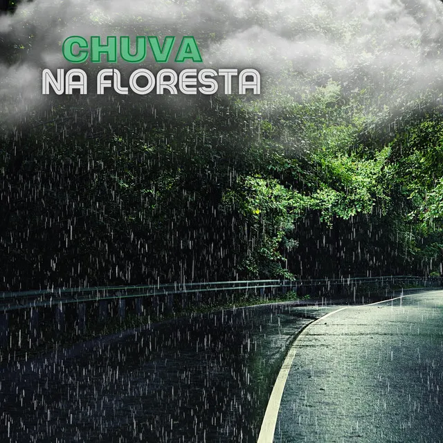 Chuva Na Floresta