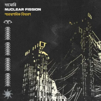 Nuclear Fission by Damori