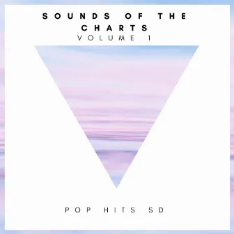 Sounds of The Charts Vol.1 by SD Music