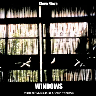 Windows by Steve Nieve