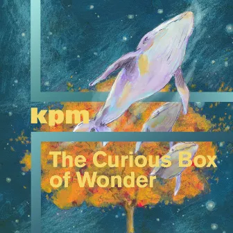 The Curious Box of Wonder by Daniel Teper