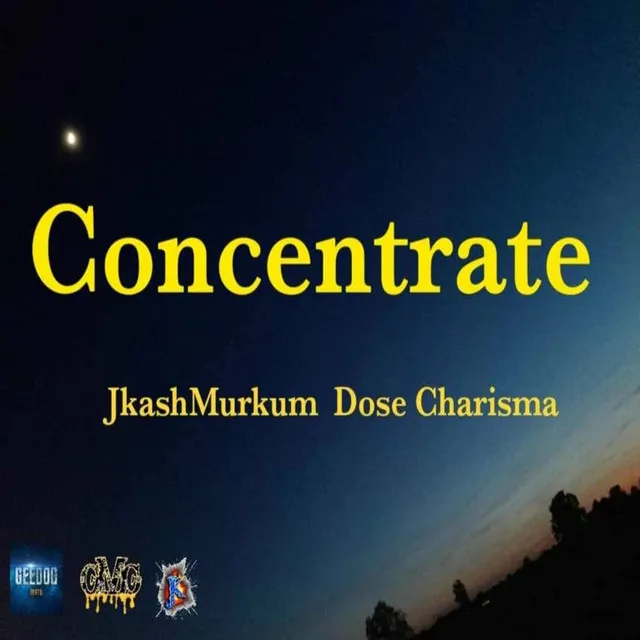 Concentrate (Original Mix)