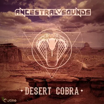 Desert Cobra by Ancestral Sounds