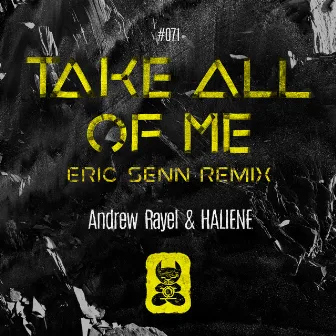 Take All Of Me (Eric Senn Remix) by Eric Senn