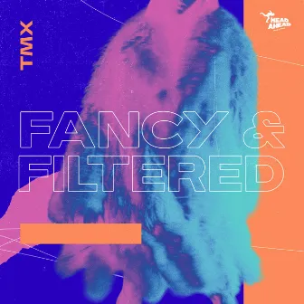 Fancy And Filtered by TMX