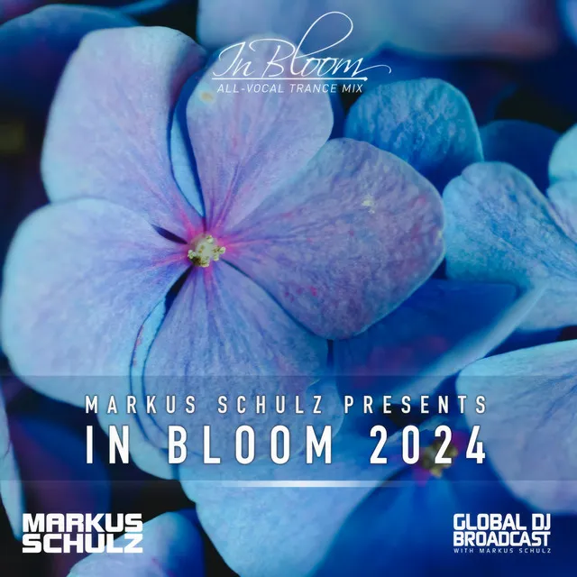 Not the Same (In Bloom 2024)