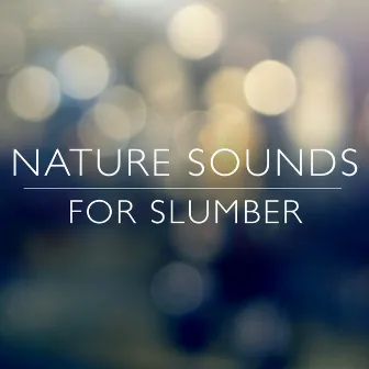 Nature Sounds for Slumber by Unknown Artist