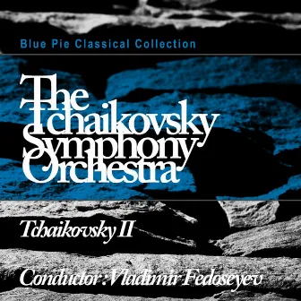 Tchaikovsky II by The Tchaikovsky Large Symphony Orchestra