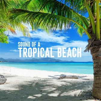 Sound of a Tropical Beach by Ocean Waves Relaxation