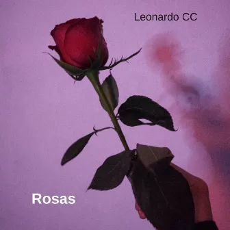 Rosas by Leonardo CC