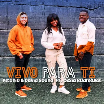 Vivo Para Ti by Unknown Artist