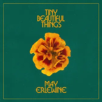 Tiny Beautiful Things by May Erlewine