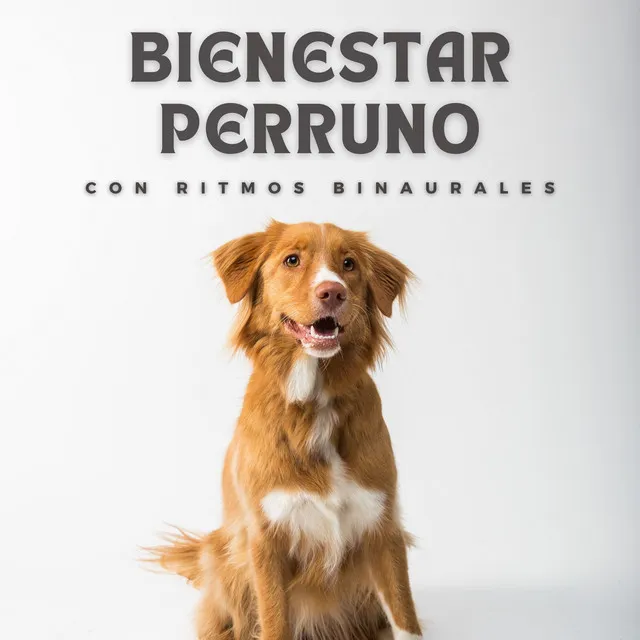 Bienestar Perruno Con Ritmos Binaurales