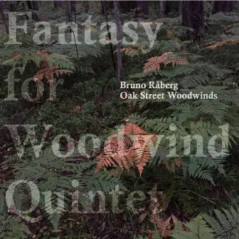 Fantasy for Woodwind Quintet by Bruno Raberg