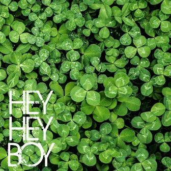 Hey Hey Boy by Angelo Zibetti