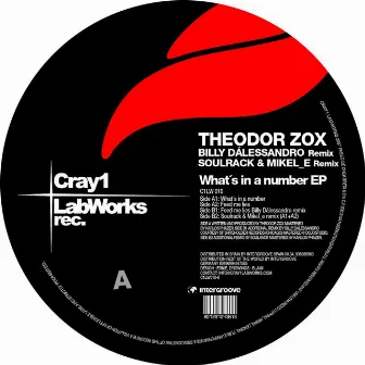 What's in a number EP by Theodor Zox