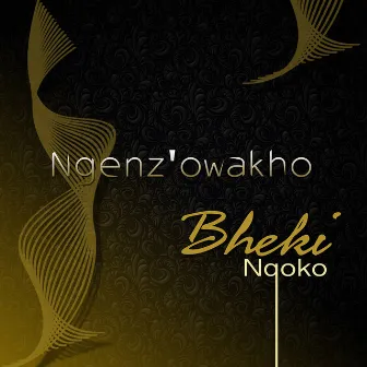 Ngenz'owakho by Bheki Nqoko