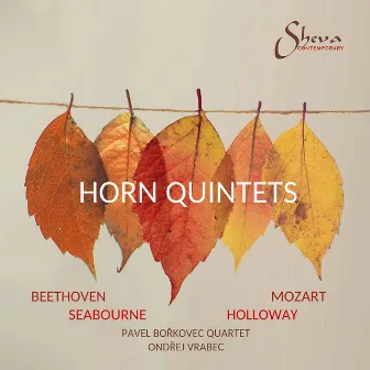 Beethoven, Mozart, Seabourne & Holloway: Horn Quintets by Unknown Artist