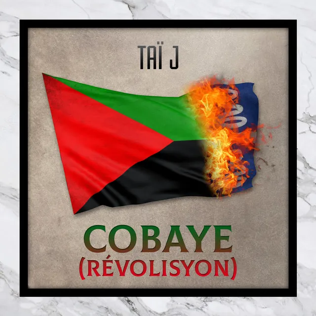 Cobaye (Révolisyon)