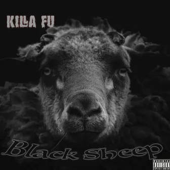 Black Sheep by Killa Fu