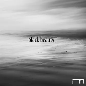 Black Beauty by Max Lindemann