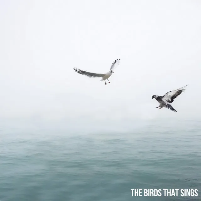 The Birds That Sings