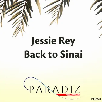 Back To Sinai by Jessie Rey