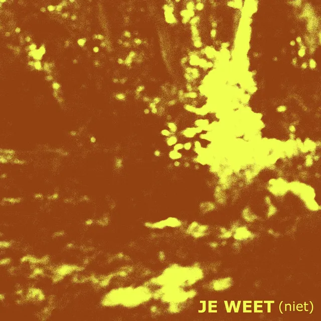 Je Weet (Niet) [feat. Kleine Viezerik]