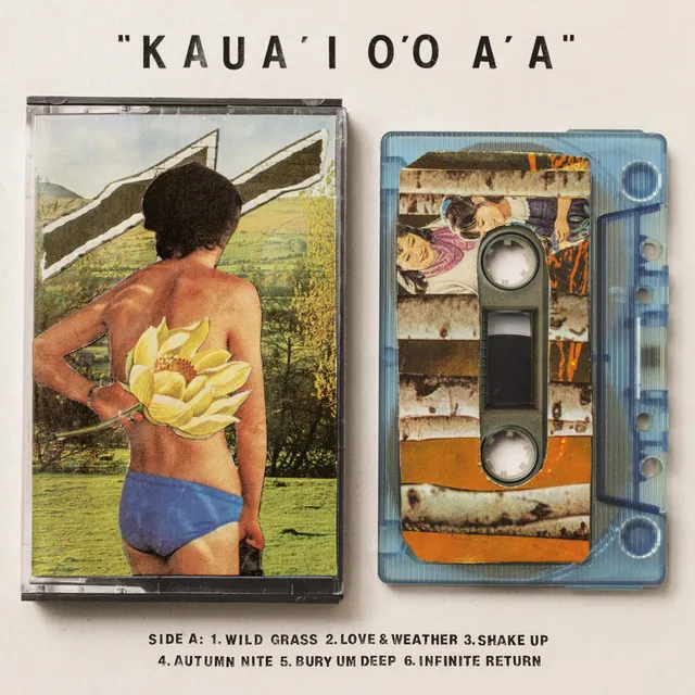 Kaua'i O'o A'a