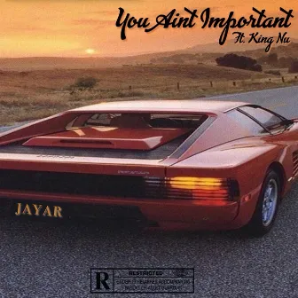 You Aint Important by JayaR