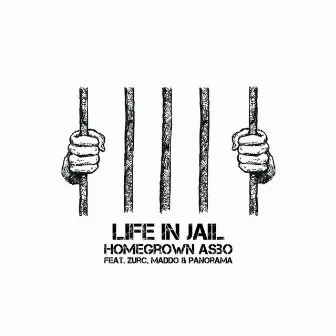 Life in Jail by HomeGrown Asbo