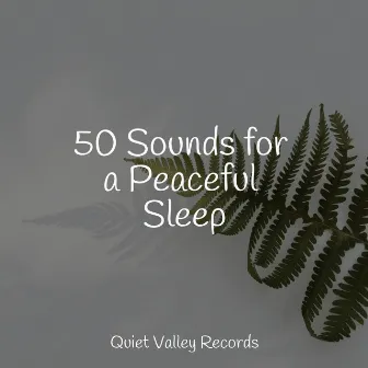 50 Sounds for a Peaceful Sleep by Meditation Relaxation Club