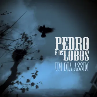 Um dia assim by Pedro e Os Lobos