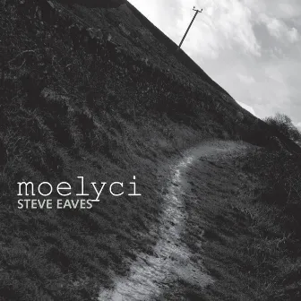 Moelyci by Steve Eaves