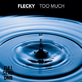 Too Much by Flecky