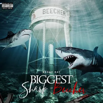 Biggest Shark Of Beecher by Mbo BroadDay